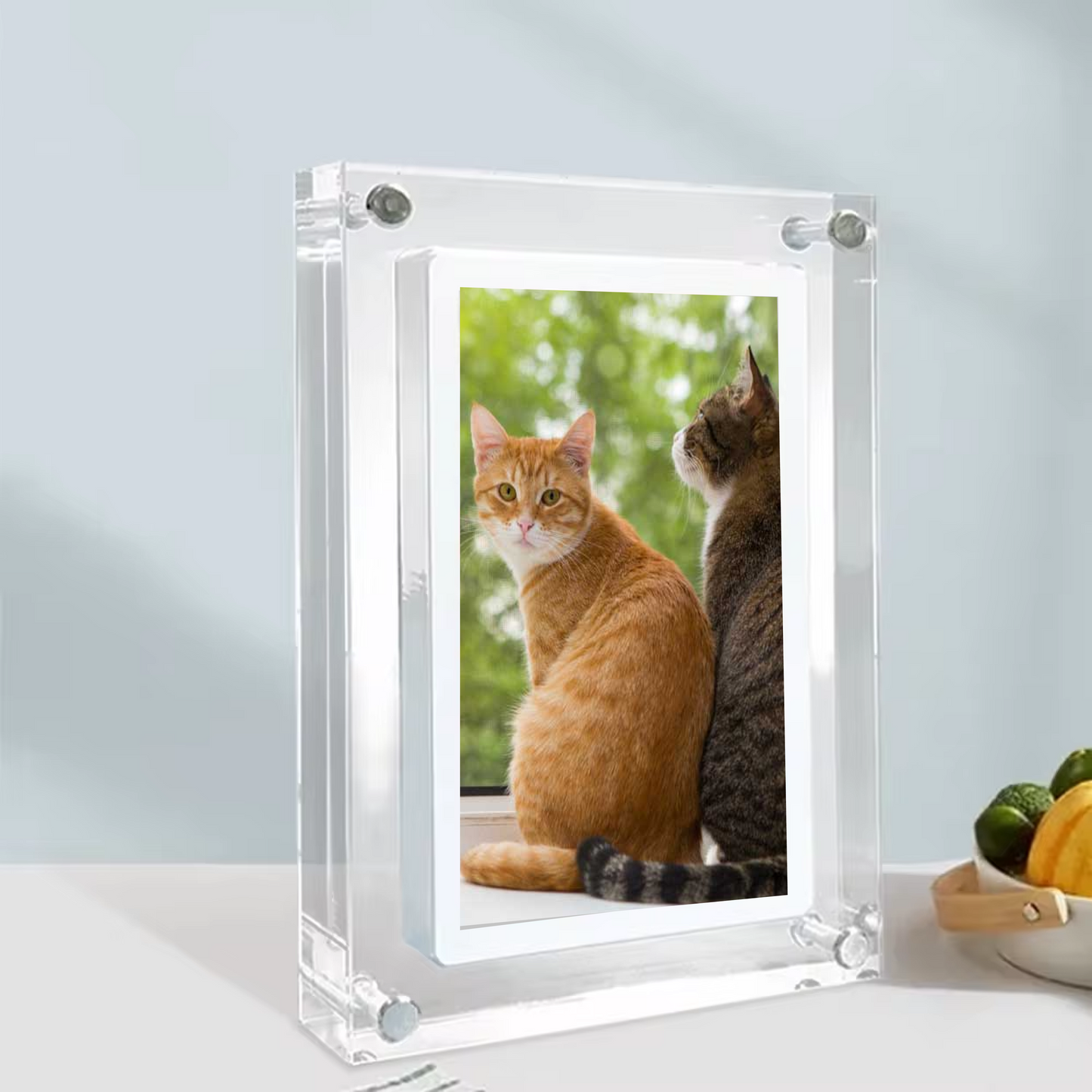 Rechargeable Digital Photo/Video Frame